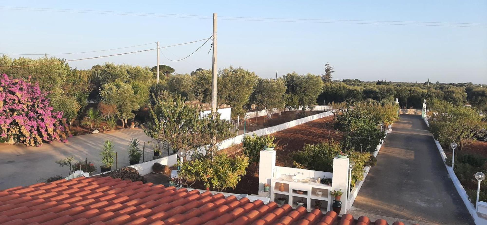 Villa Mina Ostuni Exterior foto